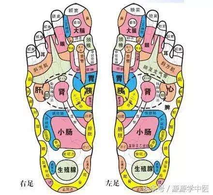 脚底按摩与中医反射疗法的区别,脚底按摩和全身按摩哪个好