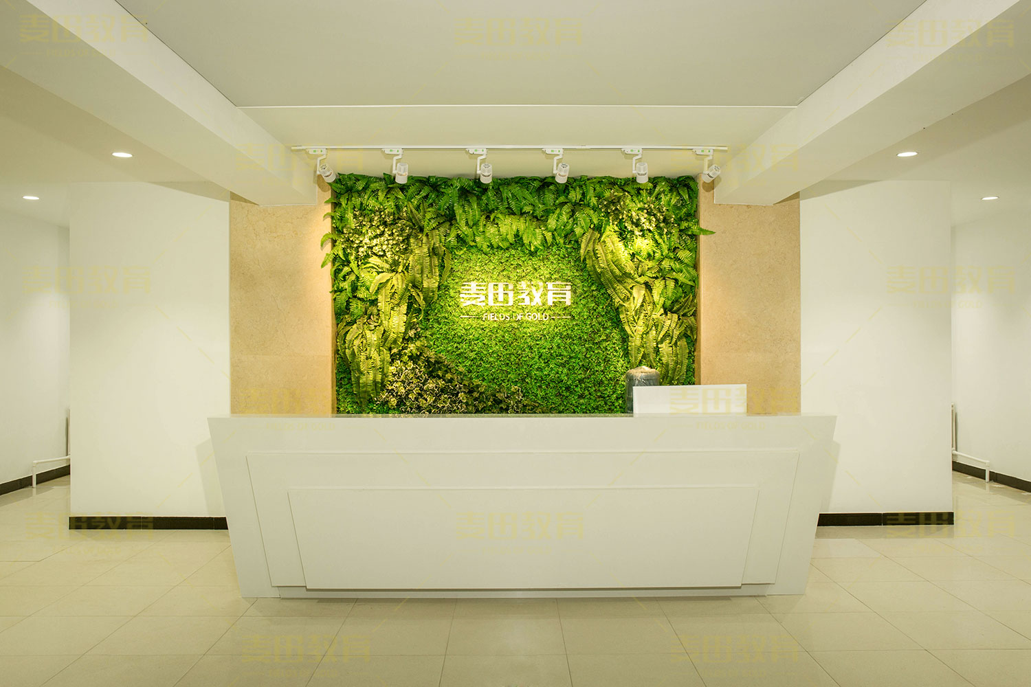 专科被不喜欢的专业录取怎么办,高考报到不喜欢的专业怎么办