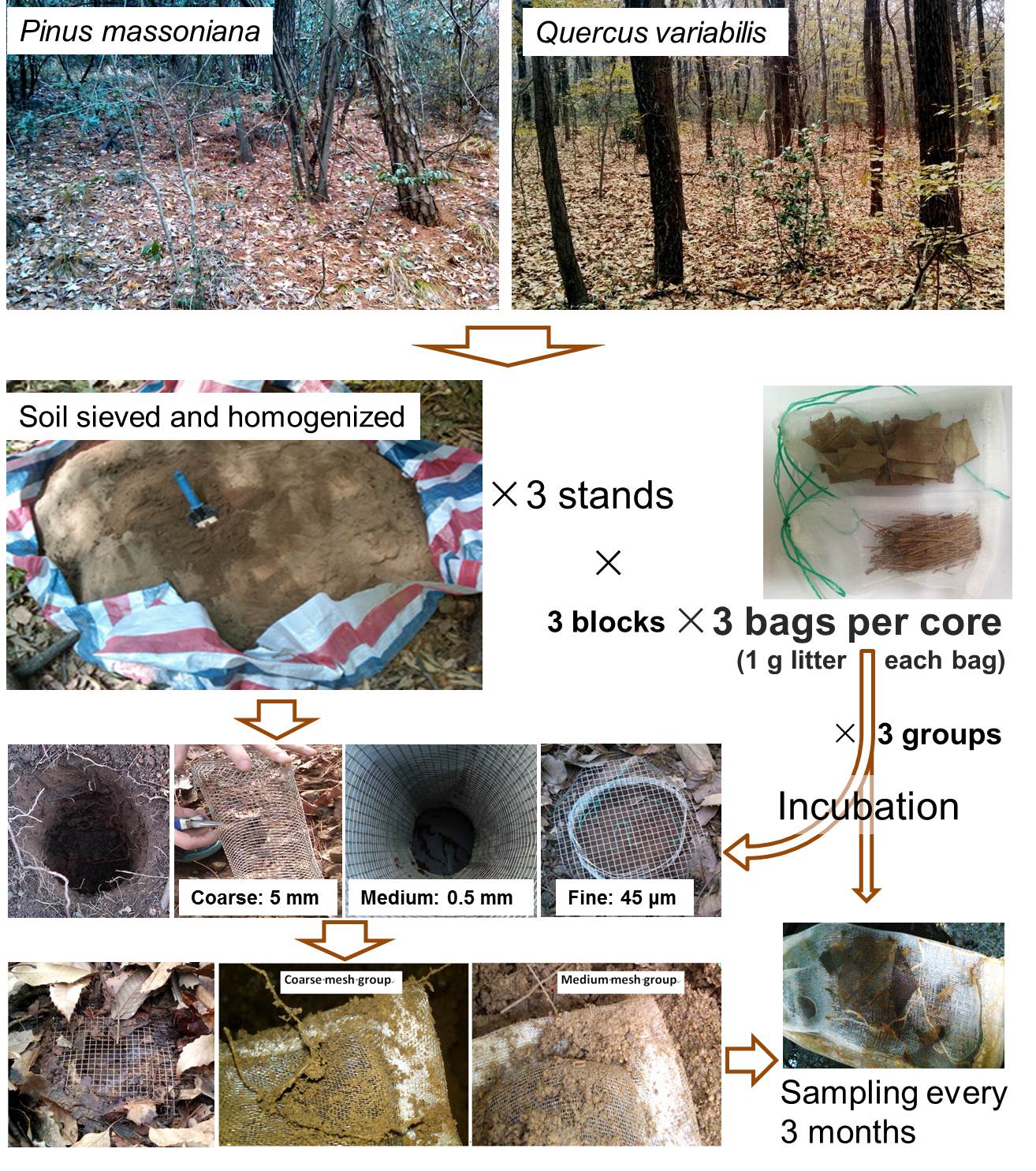 化作春泥更护花的哲理,化作春泥更护花给我们的启示