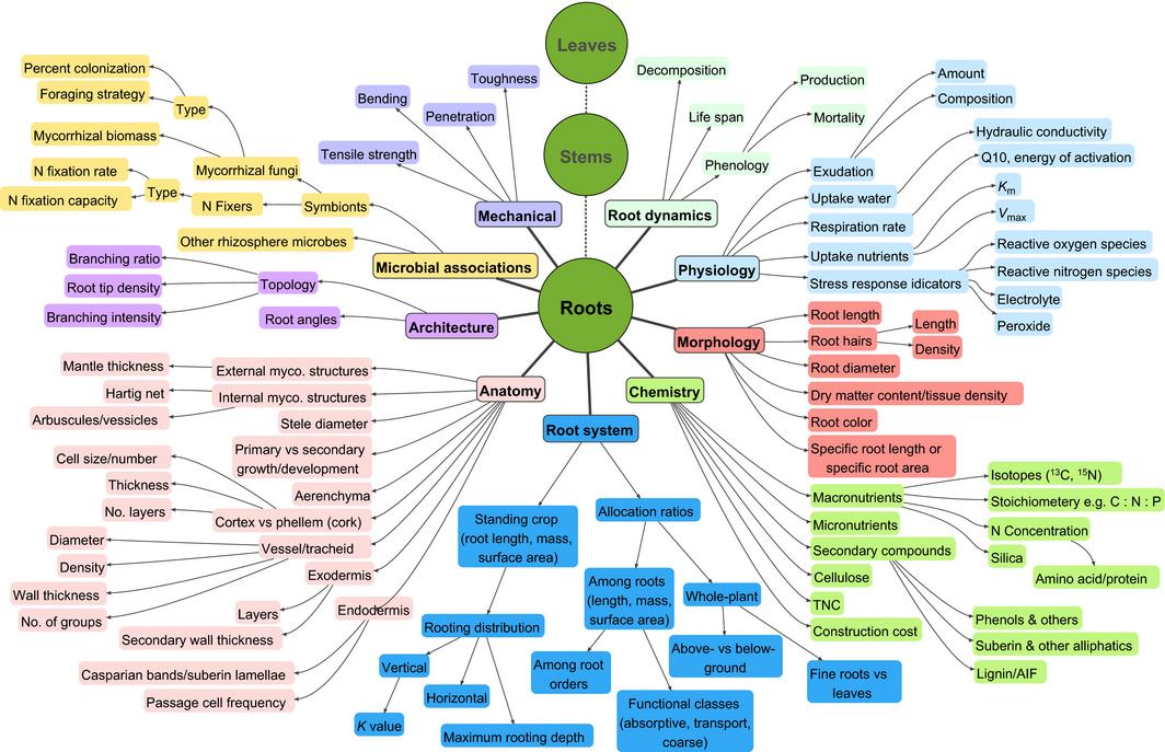 化作春泥更护花的哲理,化作春泥更护花给我们的启示