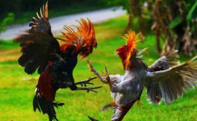 这个暑假火了武侠沙盒游戏《武侠乂》，馋哭了腾讯和网易