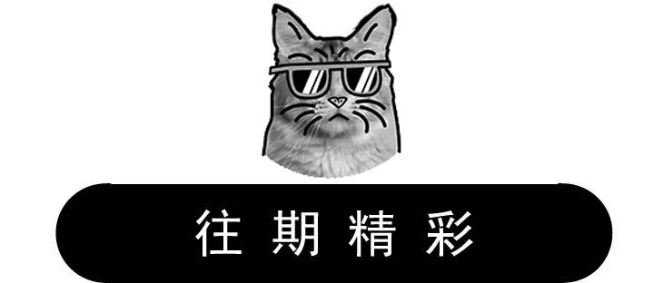 养猫的用处每一个都好硬核 (年轻人养猫和老人养猫的区别)