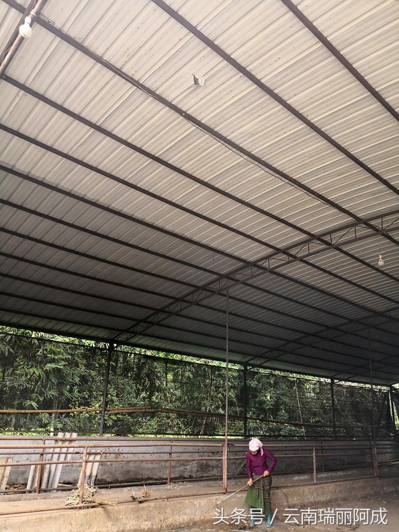 云南陨石大揭秘,云南陨石事件官方