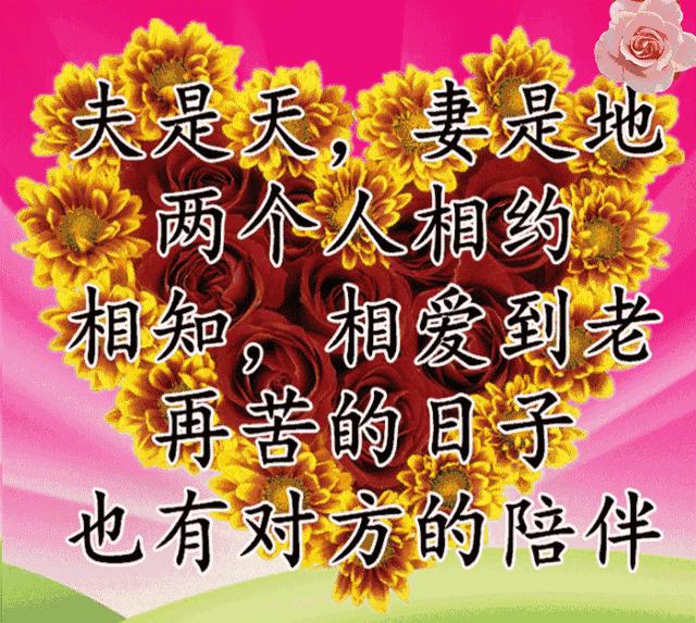 什么是真正的夫妻说的真好,什么才叫真正夫妻句子