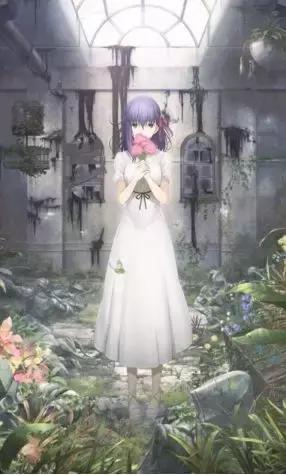 为什么二次元老婆这么吸引人,二次元老婆合集大图