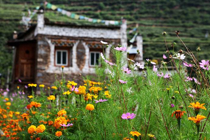 成都到九寨沟四姑娘山稻城亚丁,成都到甘孜色达九寨沟旅游攻略