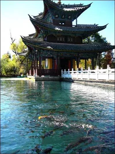 黑龙潭的记忆碎片，愿你越来越好