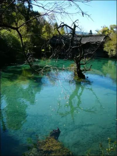 黑龙潭的记忆碎片，愿你越来越好