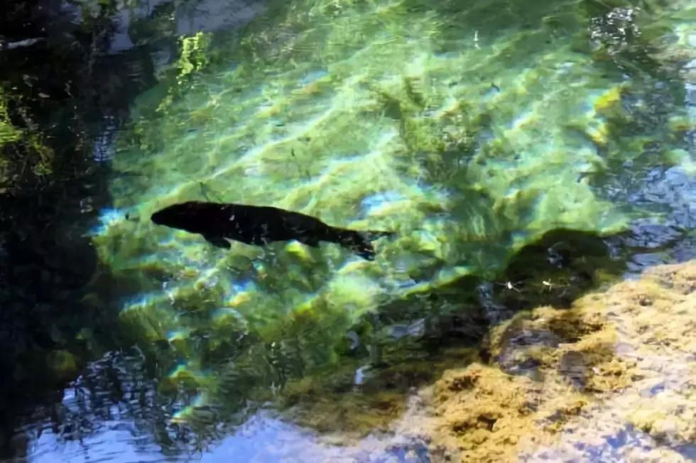 黑龙潭的记忆碎片，愿你越来越好