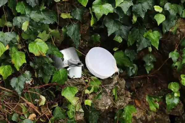 黑龙潭的记忆碎片，愿你越来越好