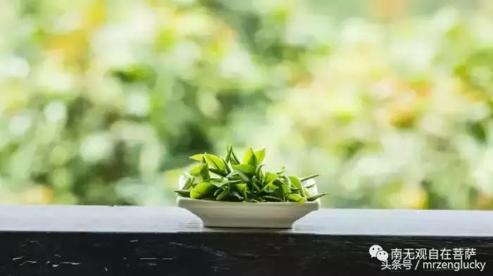 陈大惠:纵欲的真相,你无法想象!