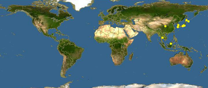 蛏子贝壳类海鲜,贝类海鲜有哪些毛蚶