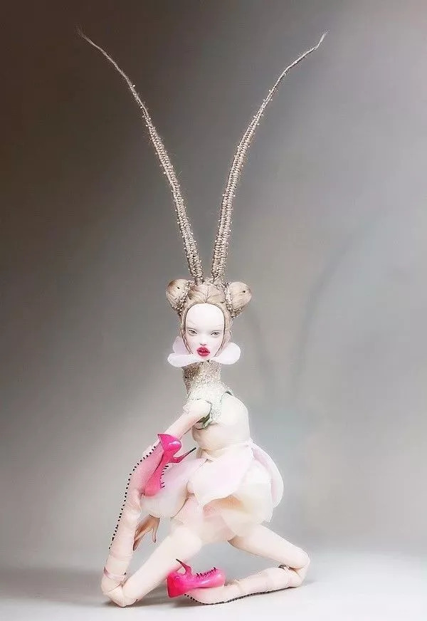 淇勭綏鏂秴鍙埍娲嬪▋濞冨皬濂冲,淇勭綏鏂┐鍎挎磱濞冨▋鐪熶汉