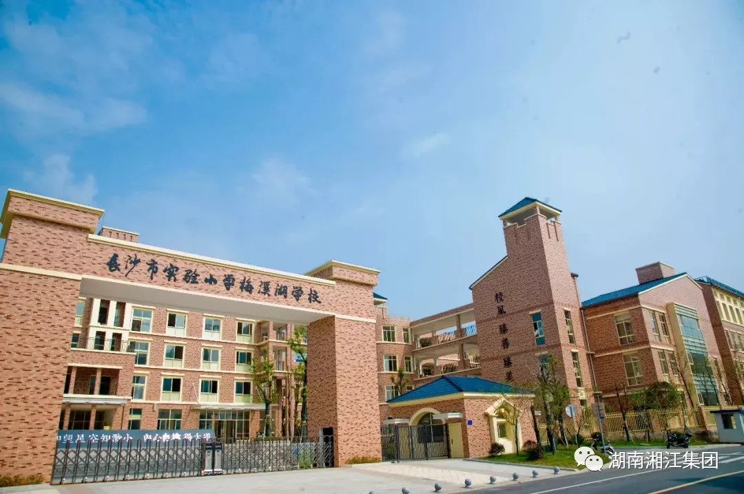 梅溪湖二期小学,梅溪湖二期教育资源短板