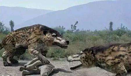 回到大海的鲸鱼,河马和鲸是什么动物