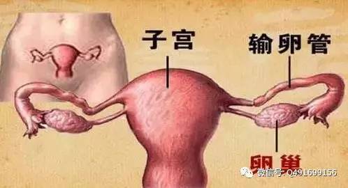 女性切除子宫对身体有什么危害,女性切除子宫对身体有什么影响吗