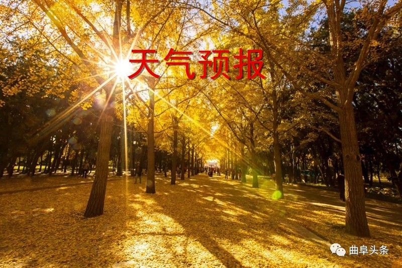 喜讯企业入围,喜报曲阜