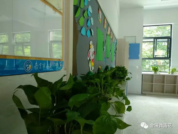 南京小行小学南师附小,小行小学最新消息