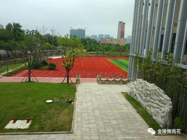 南京小行小学南师附小,小行小学最新消息