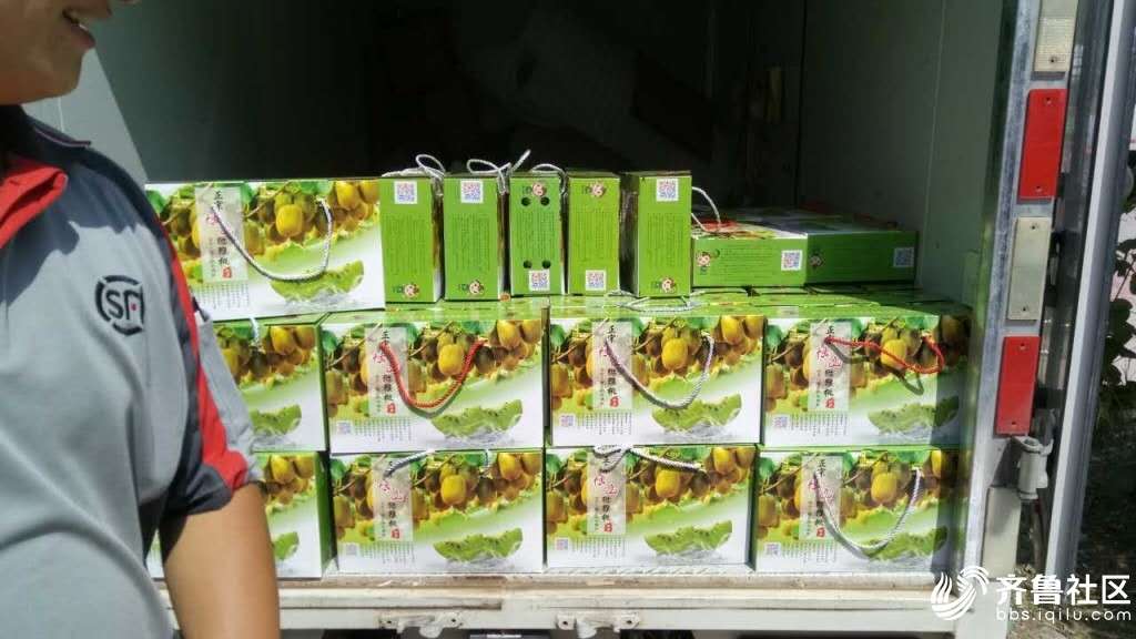 淄博源泉猕猴桃分选,淄博源泉猕猴桃标志