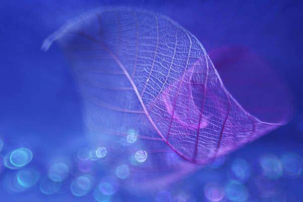 以佛治心以道治身以儒治世,以佛治心以道治身以儒治世的理解