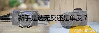 无反相机和单方相机怎么选,无反相机入门买啥相机