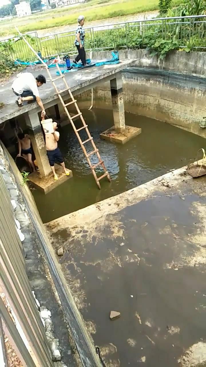 农村鱼塘养鱼最怕什么鱼,农村小水沟发现超大塘角鱼