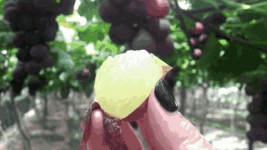 上海人，我劝你留在嘉定区！未来两年全国人都羡慕你！