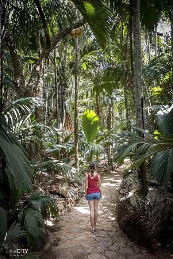 六个免签海岛颜值完爆马岱,值得去的海岛免签国家