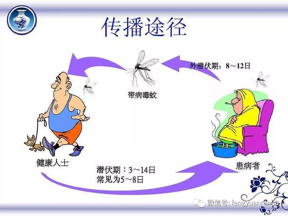 今年登革热会爆发吗,登革热高峰期要警惕