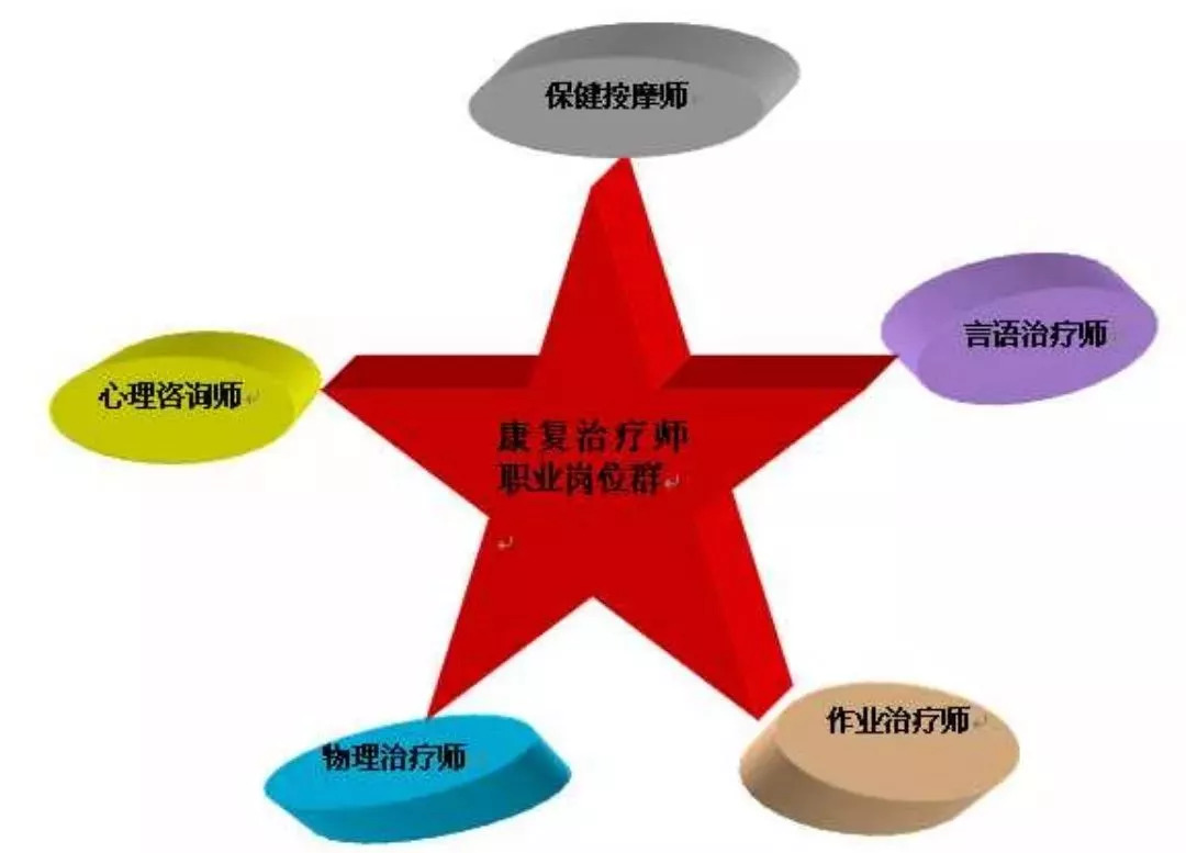 康复治疗技师基础知识,康复医师知识