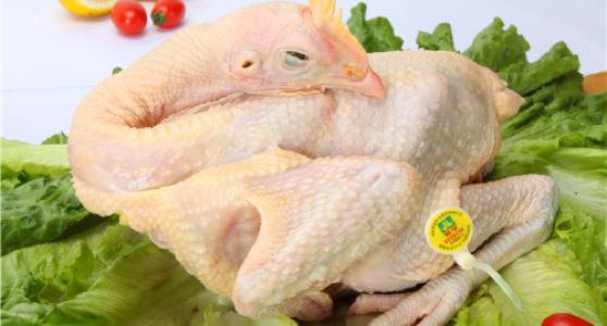 上杭县湖洋蒸鸡做法,上杭湖洋客家蒸鸡