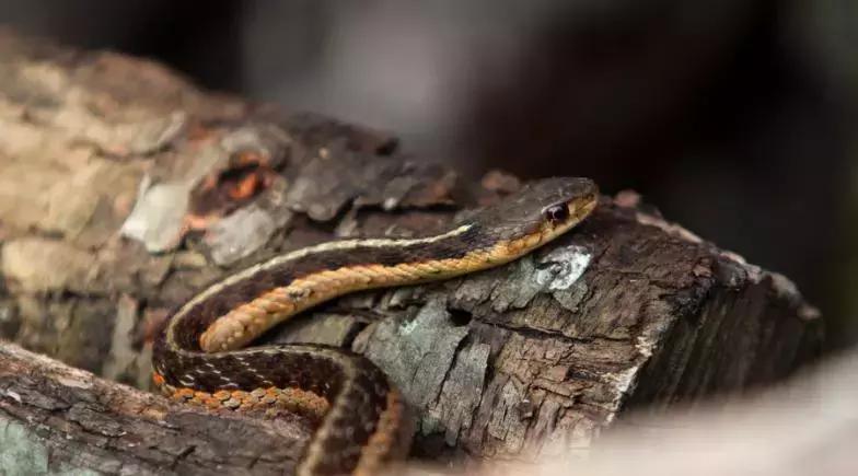 小木匠创业记,改行卖化妆品