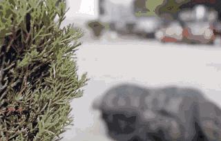 这表演技能，表演界绝对欠他一个奥斯卡