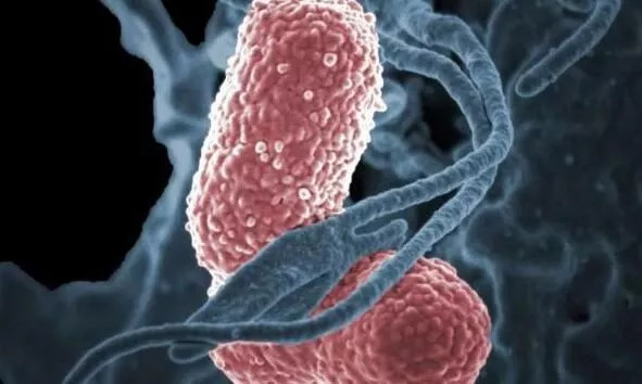 抗体治疗艾滋病,抗体治疗癌症的实例