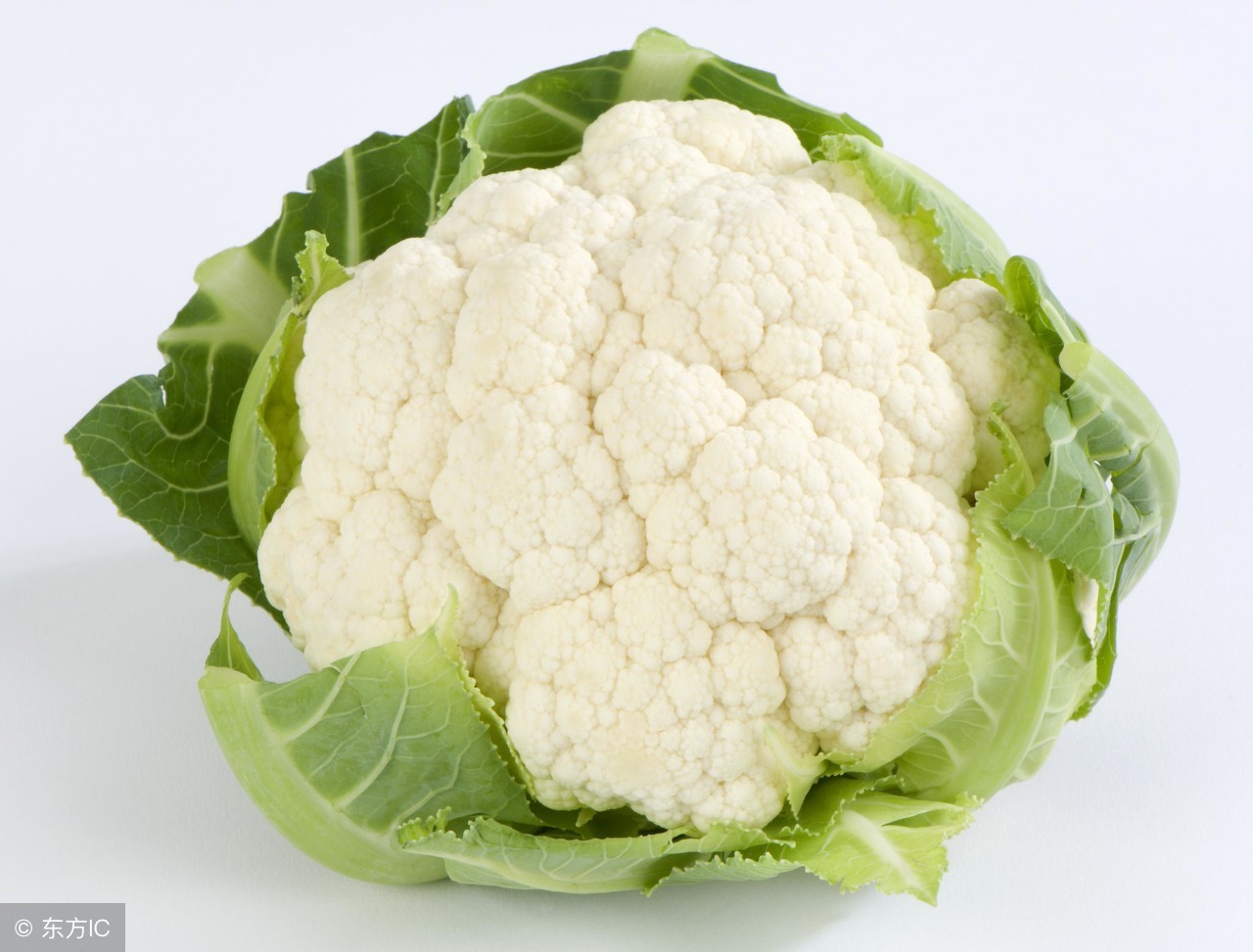 一天到晚放屁都是臭屁怎么回事,解决一直放屁的小妙招