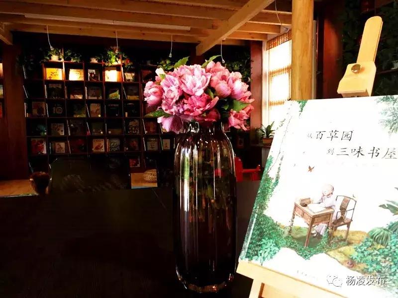 乡村振兴看保康,乡村振兴未来让城里人羡慕去吧