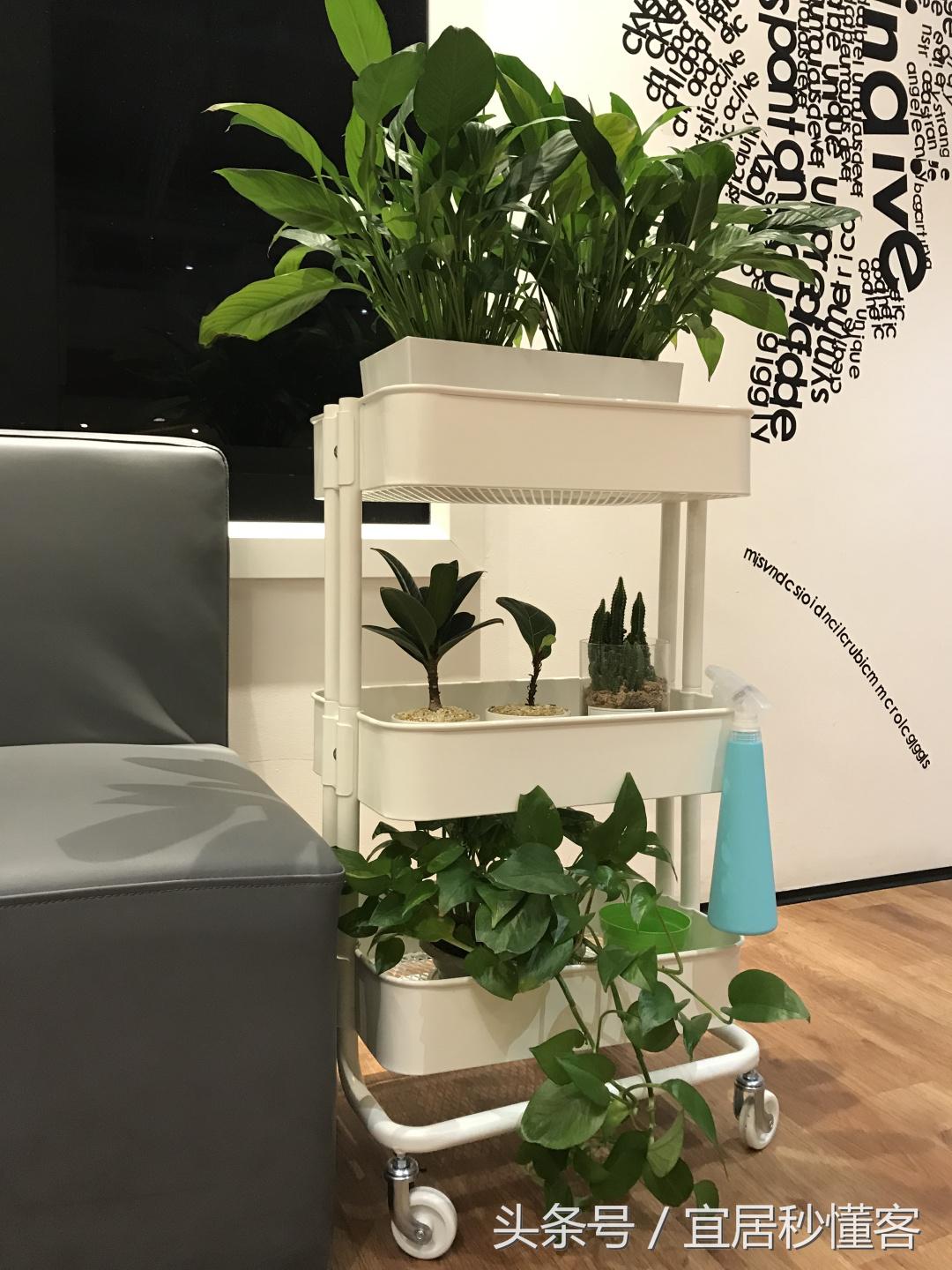 餐桌上放的旋转盘宜家万能小推车,宜家小推车的正确使用方法