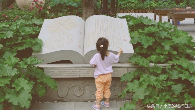 熊猫在成都的真实生活,熊猫总是睡觉