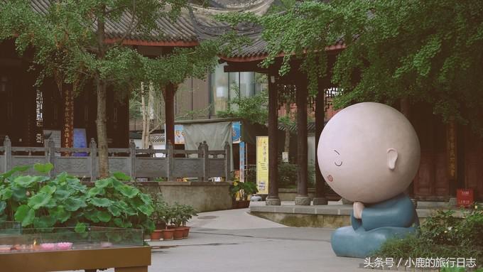 熊猫在成都的真实生活,熊猫总是睡觉