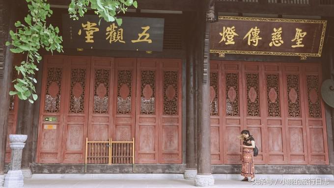 熊猫在成都的真实生活,熊猫总是睡觉