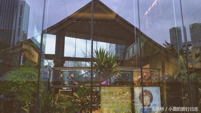 熊猫在成都的真实生活,熊猫总是睡觉