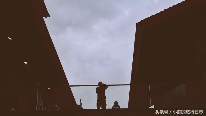 熊猫在成都的真实生活,熊猫总是睡觉