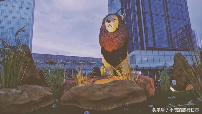 熊猫在成都的真实生活,熊猫总是睡觉