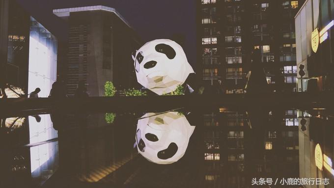 熊猫在成都的真实生活,熊猫总是睡觉