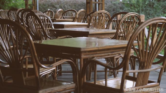 熊猫在成都的真实生活,熊猫总是睡觉