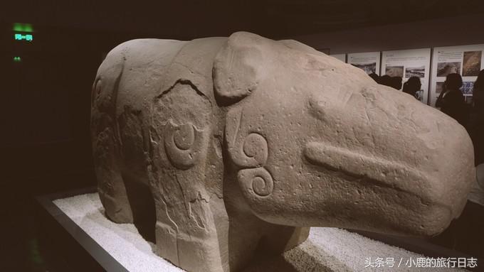 熊猫在成都的真实生活,熊猫总是睡觉