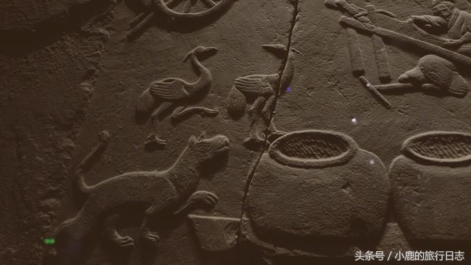 熊猫在成都的真实生活,熊猫总是睡觉