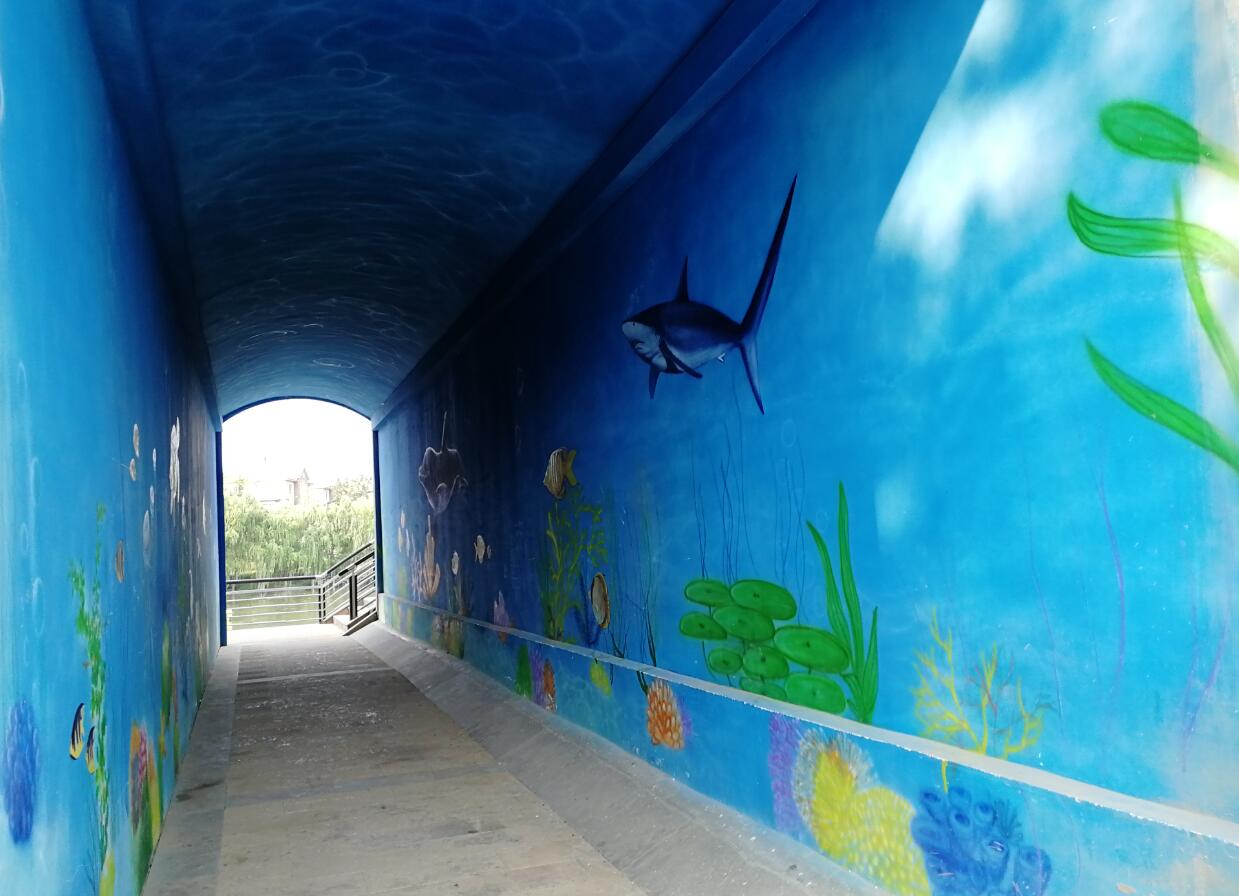 郑州洞林湖湿地公园游玩,郑州洞林湖攻略