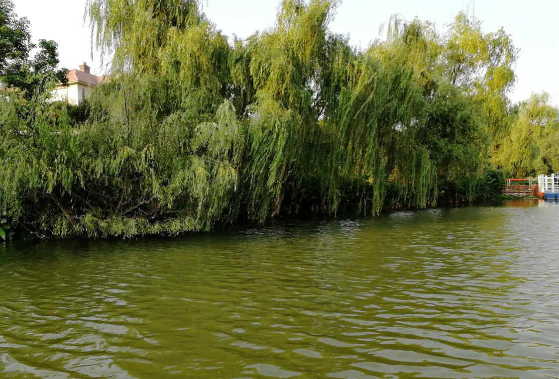 郑州洞林湖湿地公园游玩,郑州洞林湖攻略